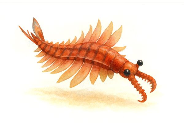 Ordovician