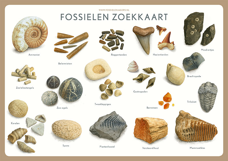 Fossielenzoekkaart