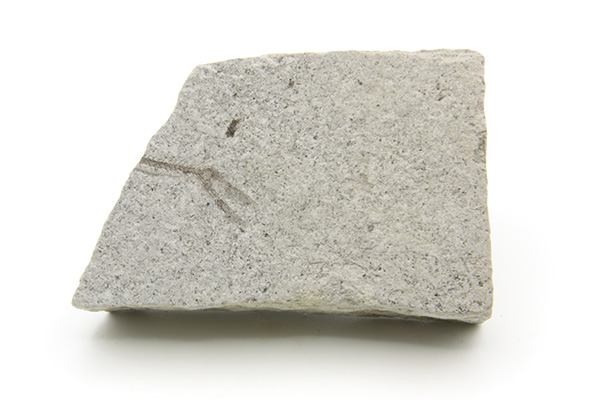 Vis