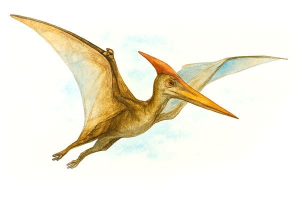 Triassic