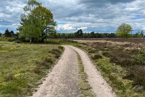 Sallandse Heuvelrug