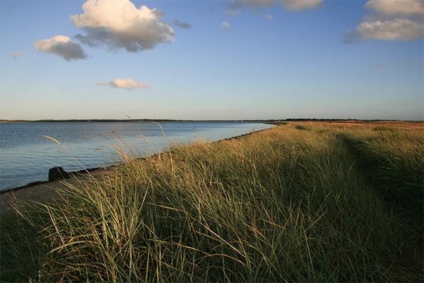 Sillerslev