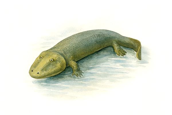 Devonian