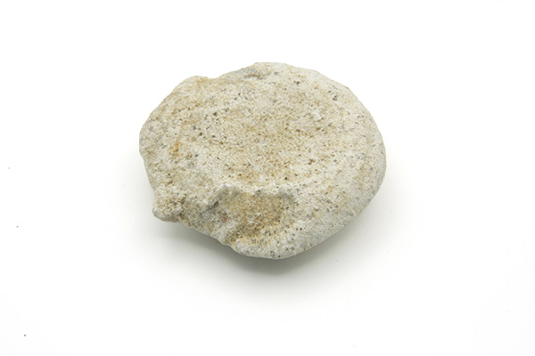 Koral