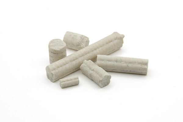 Sølilje