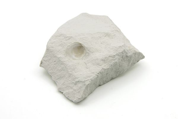 Armfødder